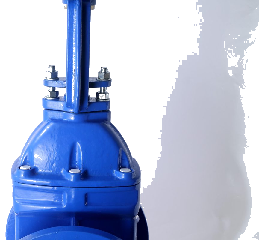 Flange Rising Stem Resilient Seated Gate Valve Z41X detail 2