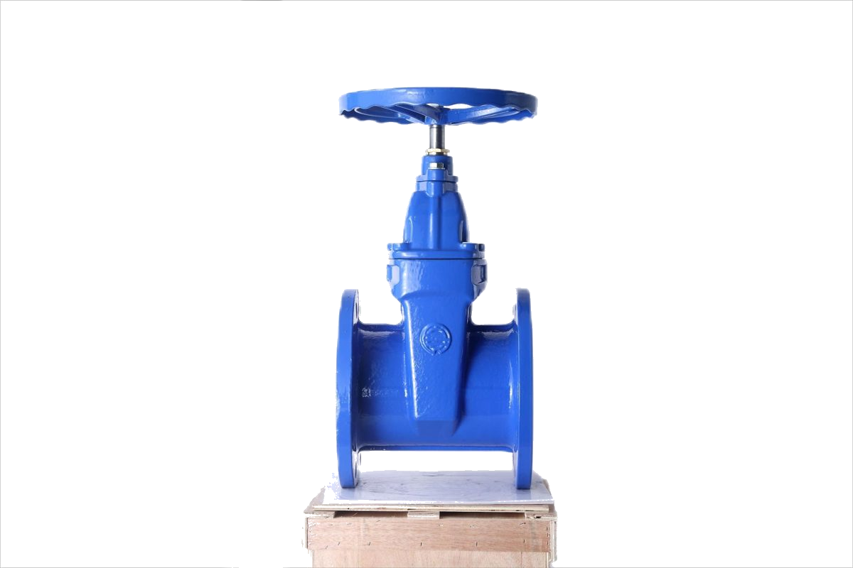 Flange Non-Rising Stem Resilient Gate Valve Z45X detail 2