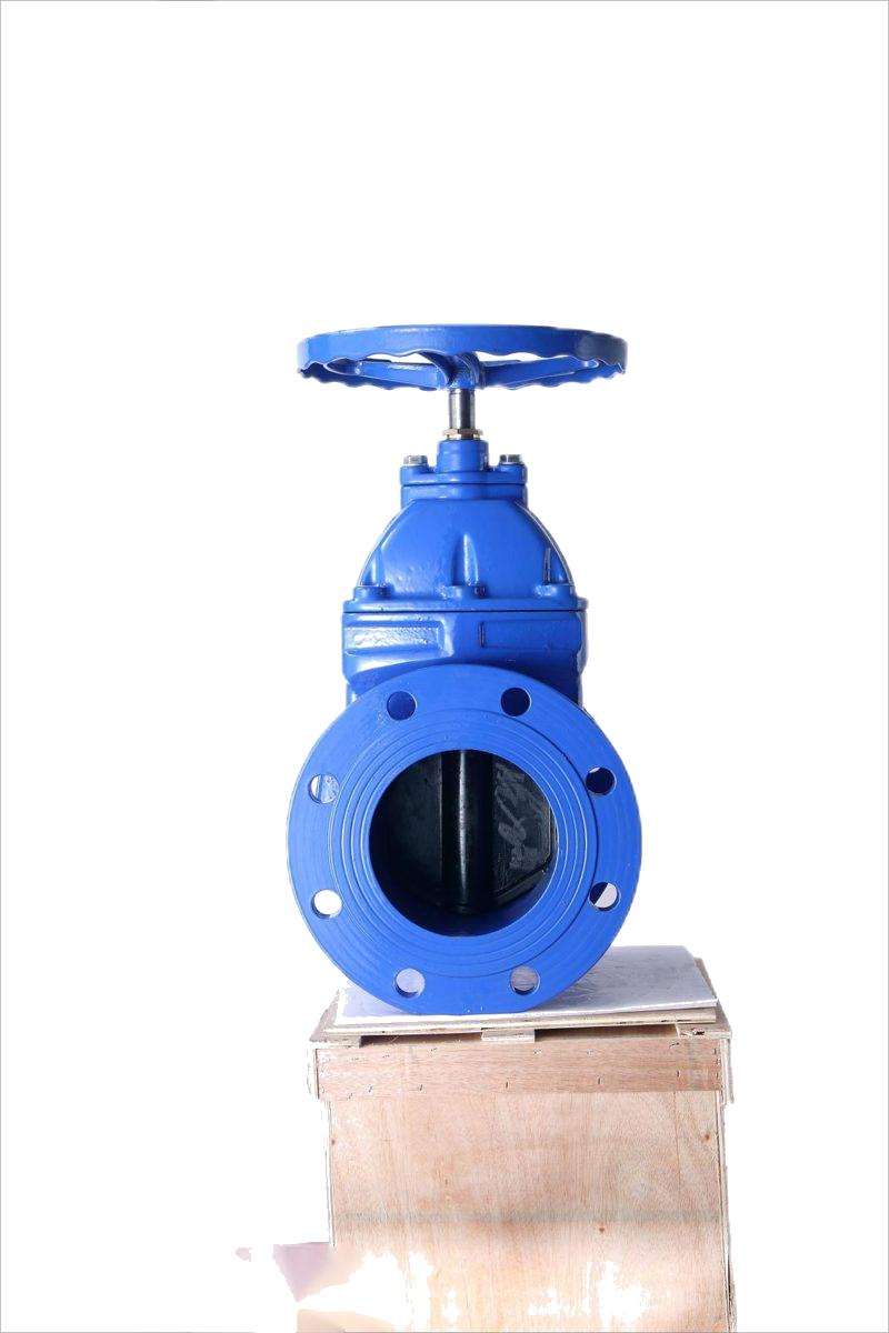 Flange Non-Rising Stem Resilient Gate Valve Z45X detail 3
