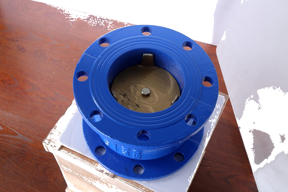Flange Mute Check Valve H41X detail 2