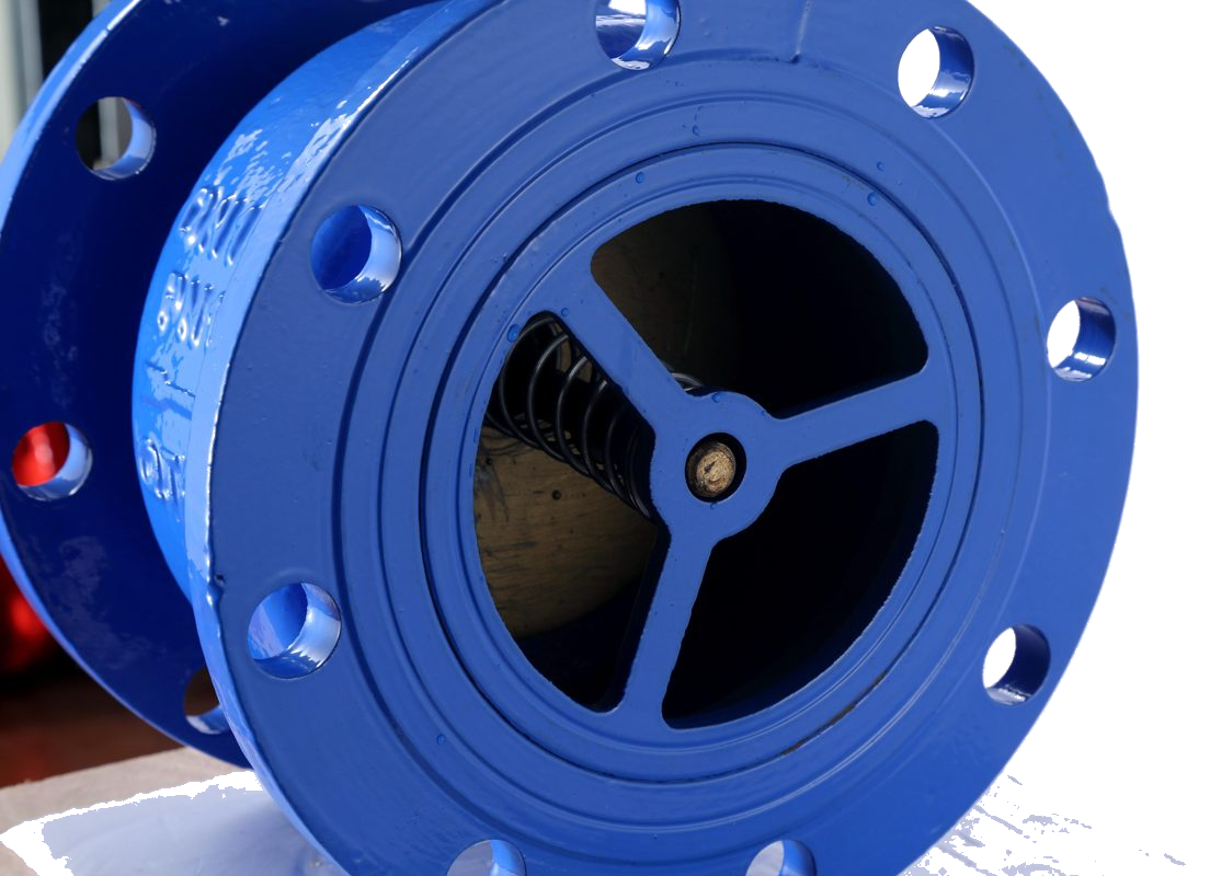 Flange Mute Check Valve H41X detail 3