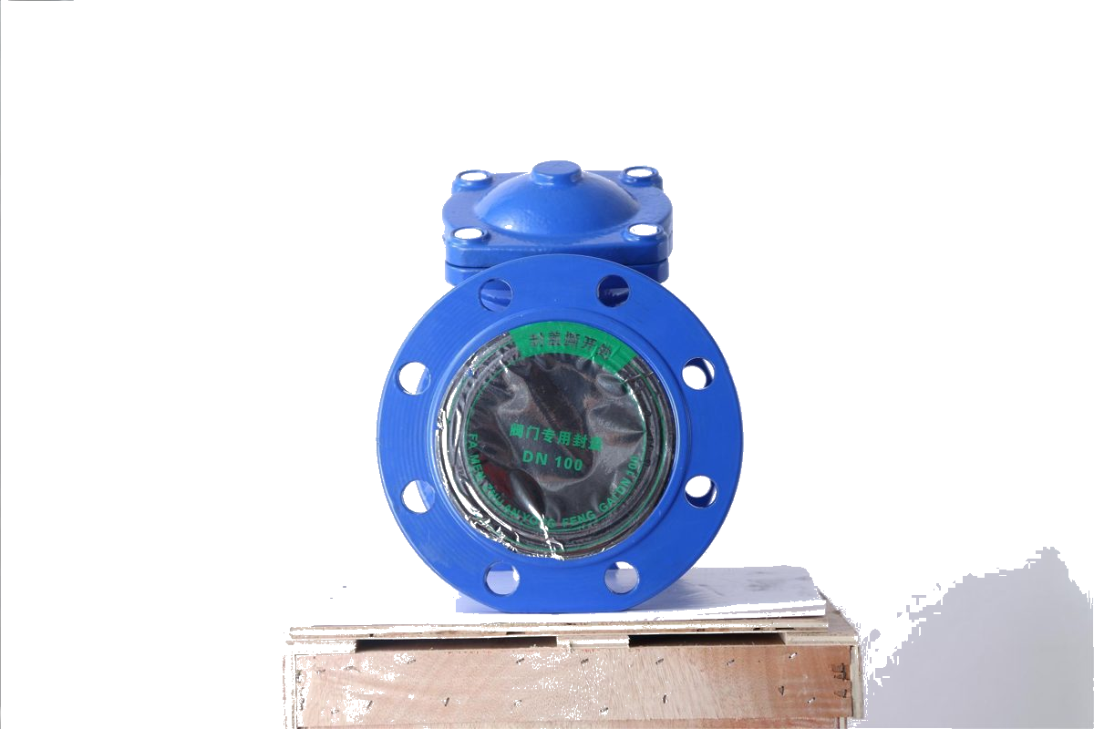 Flange Ductile Iron Y-Strainer GL41H detail 2