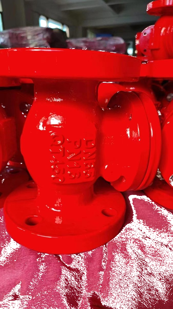 Ductile Iron Flanged Swing Check Valve H44X detail 3