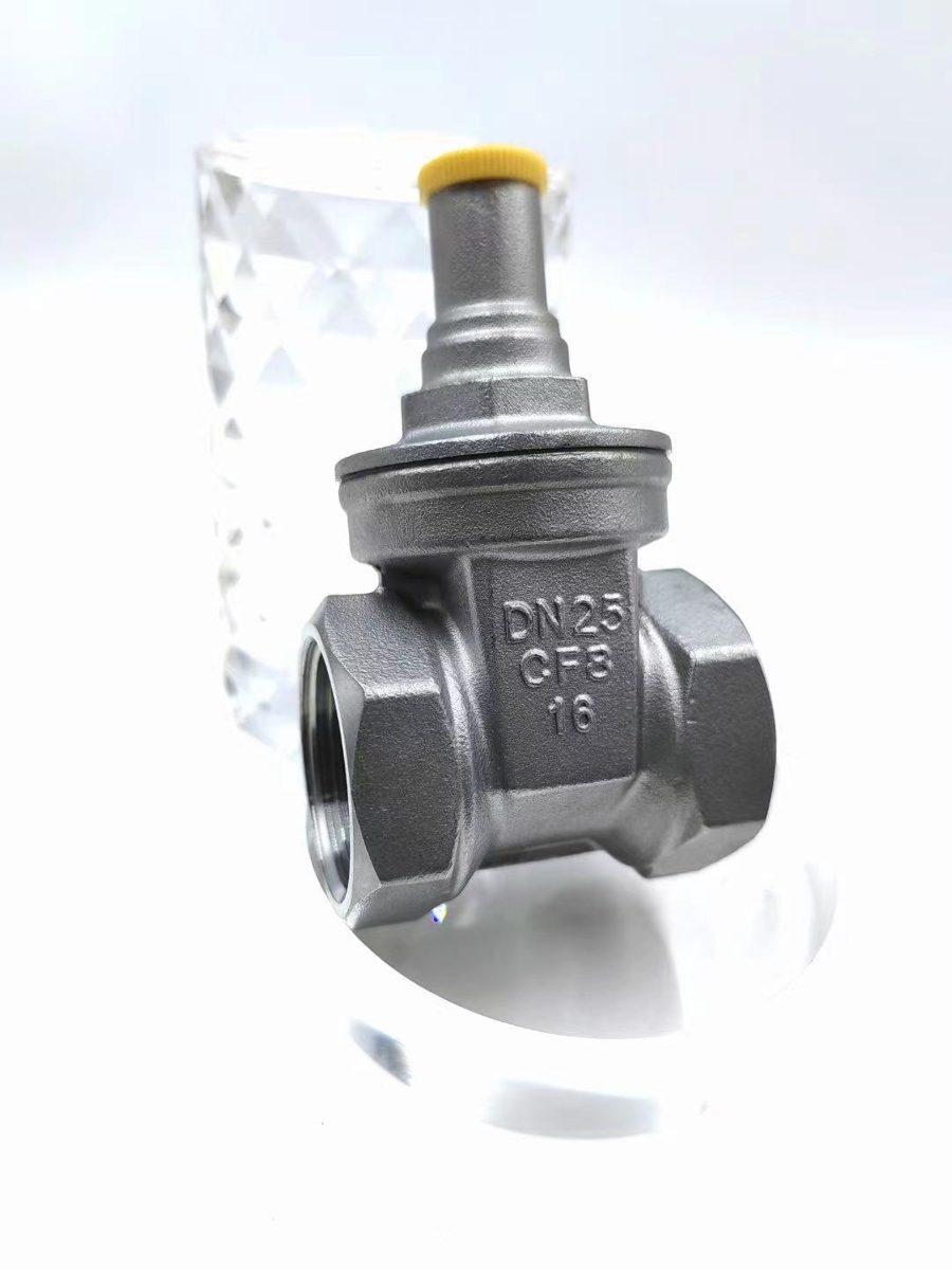 Stainless Steel Threaded Globe Stop Valve JZ15W-16P
